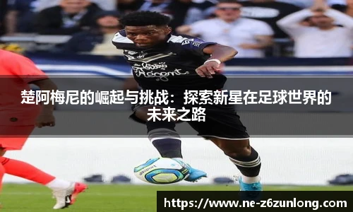 Z6尊龙官方网站官网入口