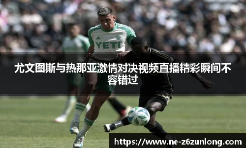 Z6·尊龙凯时