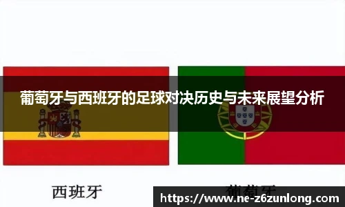尊龙官网中国官网入口