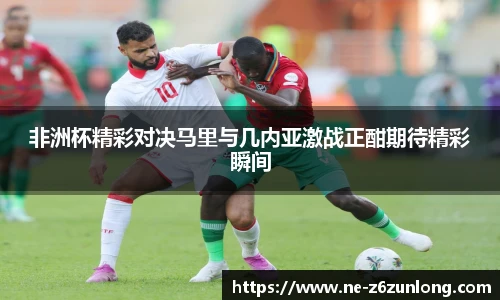 非洲杯精彩对决马里与几内亚激战正酣期待精彩瞬间